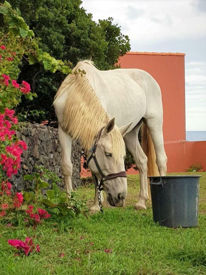 Quinta Da Falesia - Casa Amarela Ponta Delgada 외부 사진