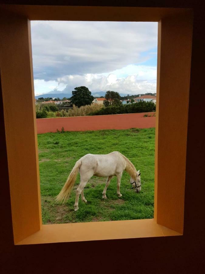 Quinta Da Falesia - Casa Amarela Ponta Delgada 외부 사진