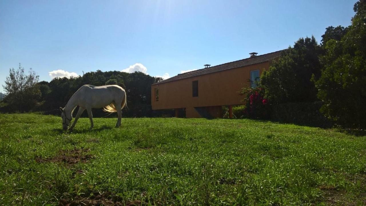 Quinta Da Falesia - Casa Amarela Ponta Delgada 외부 사진