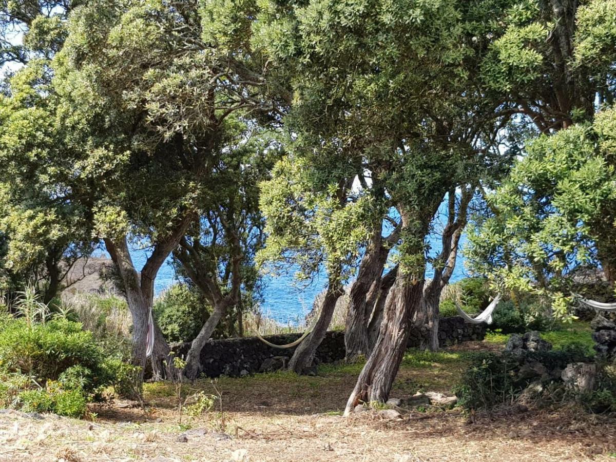 Quinta Da Falesia - Casa Amarela Ponta Delgada 외부 사진